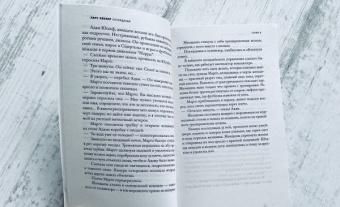 Ларс Кеплер: Соглядатай