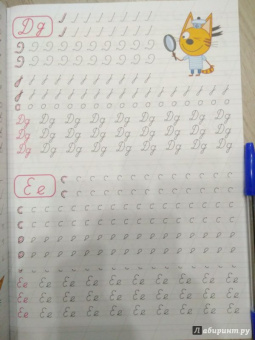 Три кота. Каллиграфические прописи. Буквы и цифры