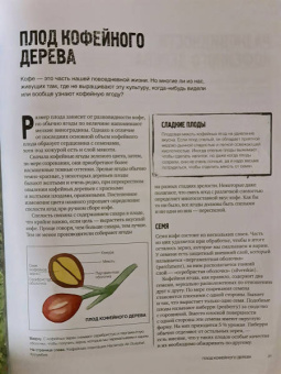 Джеймс Хоффманн: Всемирный атлас кофе. От зерна до чашки. Путеводитель по странам, сортам и способам приготовления