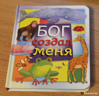 Bethan James: Бог создал меня