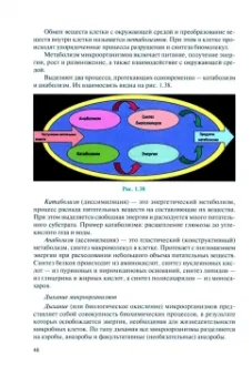 Ольга Кунилова: Микробиология, физиология питания, санитария и гигиена в общественном питании. Учебник