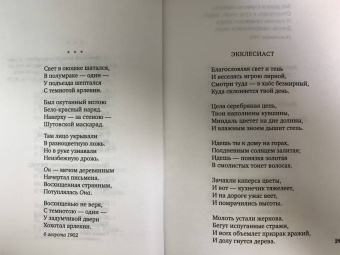 Александр Блок: Незнакомка. Стихотворения, поэма