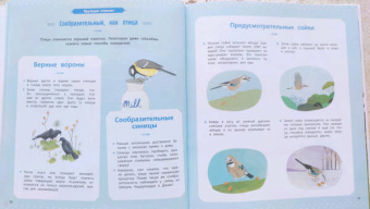 Натали Торджман: Птицы