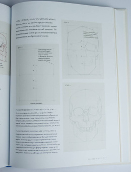Роберто Ости: Основы анатомии человека. Наглядное руководство для художников