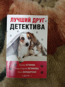 Устинова, Литвинова, Литвинов: Лучший друг детектива