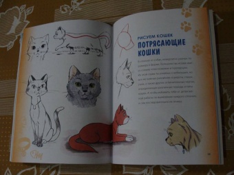Кристофер Харт: Учимся рисовать кошек и собак. Пошаговые уроки по созданию домашних любимцев