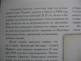 Саша Черный: Обстановочка. Избранные стихотворения. Подробный иллюстрированный комментарий