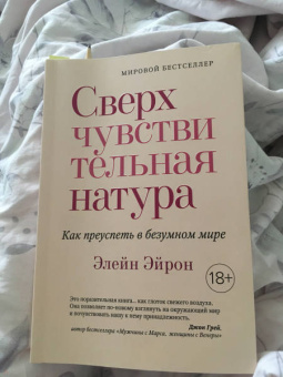 Элейн Эйрон: Сверхчувствительная натура. Как преуспеть в безумном мире