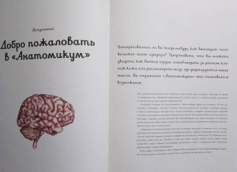 Дженнифер Пакстон: Анатомикум