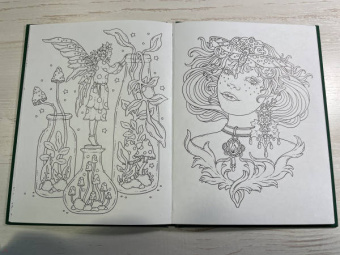 Ханна Карлсон: Волшебные истории. Заколдованный лес