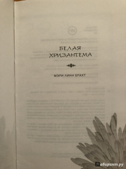Мэри Брахт: Белая хризантема