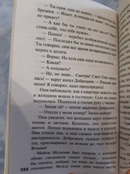 Устинова, Литвинова, Литвинов: Семейный детектив