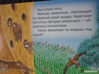 В пруду и у реки