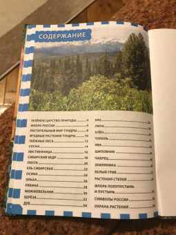 Растительный мир России. Популярная детская энциклопедия