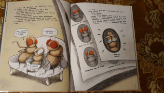 Чжэ Квон: Секрет плодовых мушек