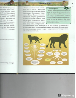 Владислав Щербак: Хочу знать. Львы