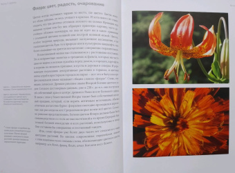 Бруно Кремер: Цветы. Естественная история