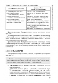 Зверев, Бойченко, Быков: Основы микробиологии и иммунологии. Учебник