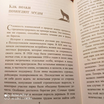 Петер Воллебен: Тайные связи в природе