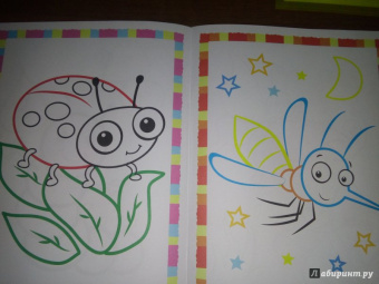 Первые букашки. Книжка-раскраска