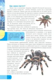 Мария Куруськина: Энциклопедия. Пауки