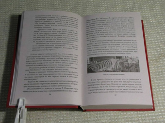 Непомнящий, Комогорцев: Истоки русского бестиария