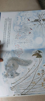 Наталья Чарушина-Капустина: Жил да был в лесу бельчонок