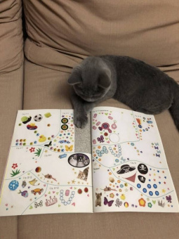 Мой милый котенок