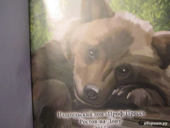 Ярослава Соколова: Хочу знать. Медведи