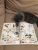 Мой милый котенок Мой милый котенок