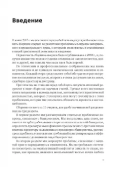 Бородкин, Станкевич: О некоторых актуальных вопросах защиты прав в арбитражном процессе. Сборник очерков. Часть 2