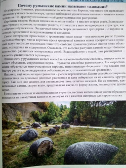 Людмила Соколова: Что? Где? Почему?