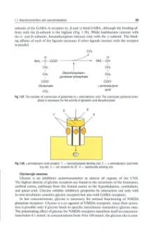 Gusev, Konovalov, Skvortsova: Neurology and neurosurgery. In 2 Volumes. Volume 1. Neurology