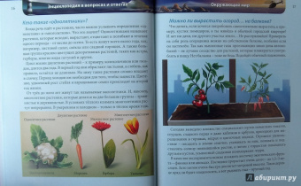 Оксана Балуева: Хочу знать. В вопросах и ответах