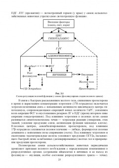 Федотов, Авдеенко, Лебедев: Ветеринарная гинекология