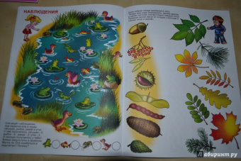 Игралка-развивалка. Для детей 4-7 лет (33989)