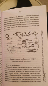 Андрей Шляхов: Биология для тех, кто хочет понять и простить самку богомола