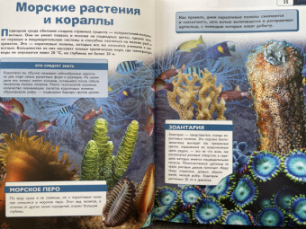 Вайткене, Ликсо, Закотина: Подводный мир