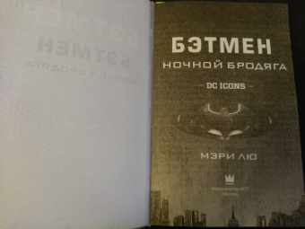Мэри Лю: Бэтмен. Ночной бродяга