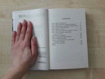 Эрвин Ставинский: Вильгельм Леман. Подлинная история Штирлица