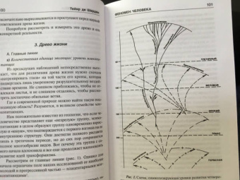 Тейяр де Шарден Пьер: Феномен человека. Божественная среда
