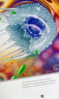 Боэрле, Ланда: Путешествие в мир клетки. Нескучная наука