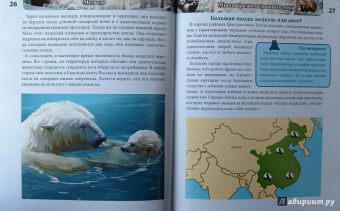 Ярослава Соколова: Хочу знать. Медведи