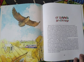 Марина Улыбышева: От паровоза до «Сапсана»