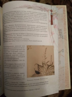 Сказки трех драконов. Китай, Корея, Япония