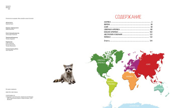 Кристин Балле: Яркий мир животных