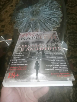 Донато Карризи: Девушка в лабиринте