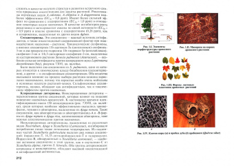 Ларикова, Кондратьев: Физиология древесных растений. Учебное пособие