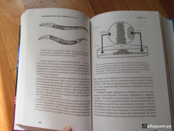 Марков, Наймарк: Эволюция. Классические идеи в свете новых открытий