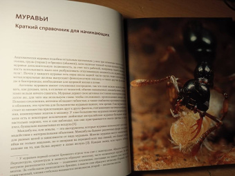 Марк Моффетт: Приключения среди муравьев. Путешествие по земному шару с триллионами суперорганизмов